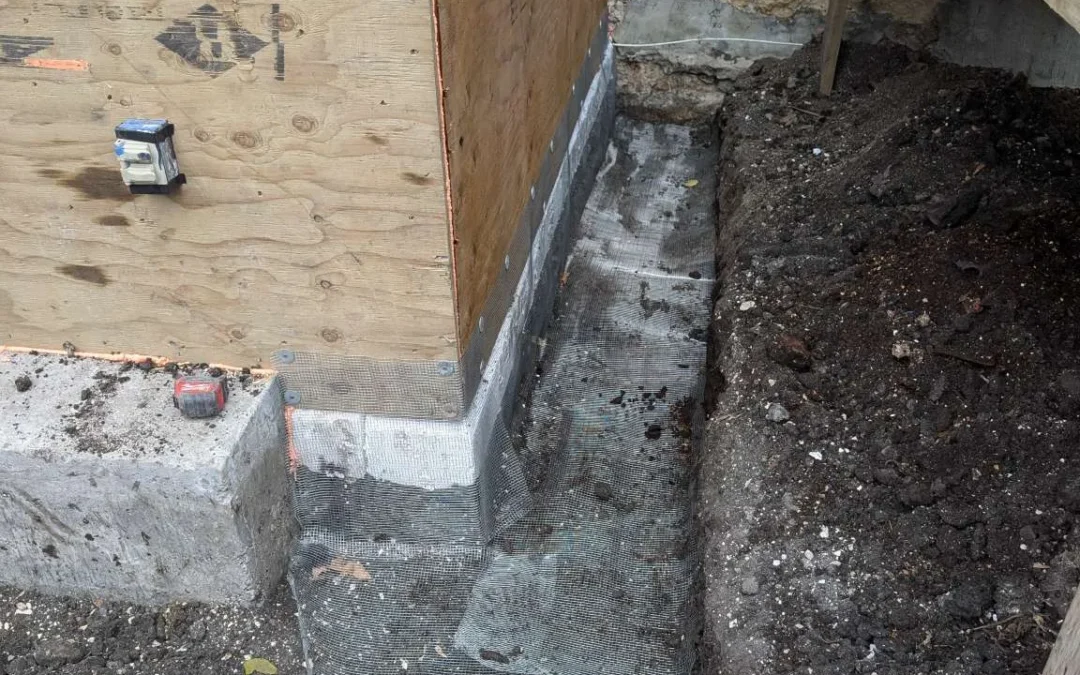 Project #1 – View More