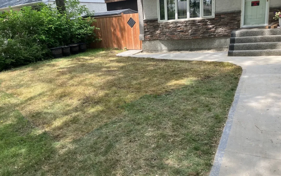 Project #3 – View More