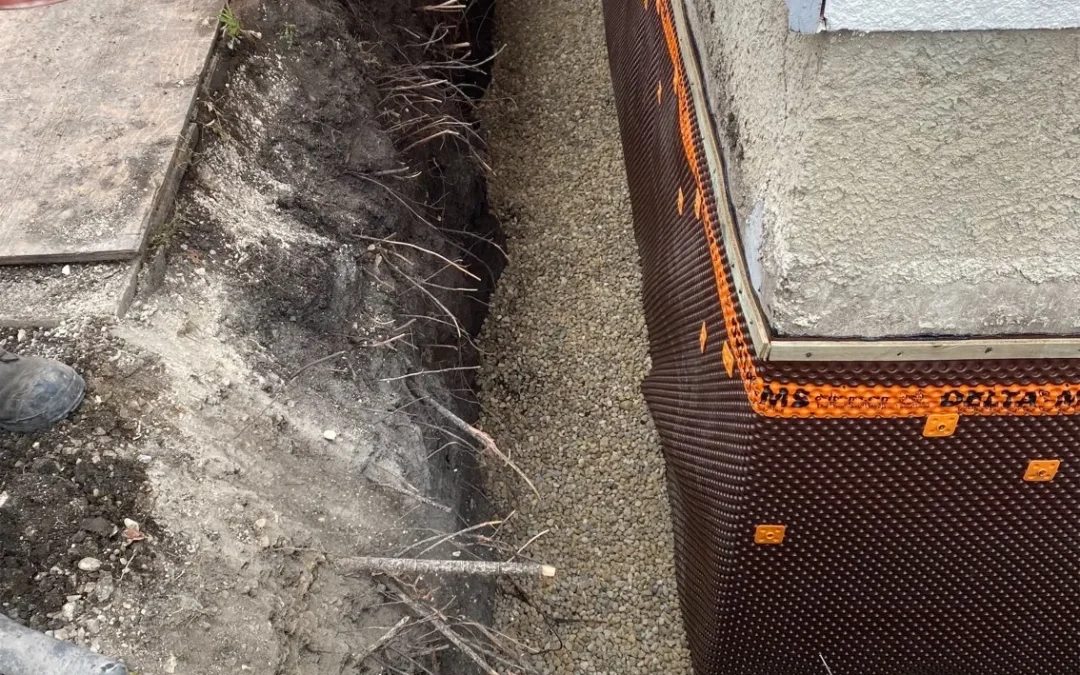 Project #4 – View More