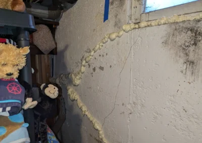 46 Peel Crescent, Winnipeg