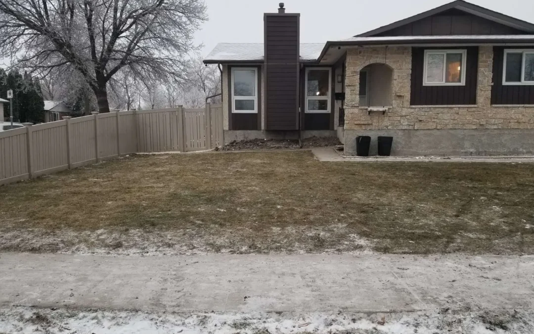 Project #6 – View More